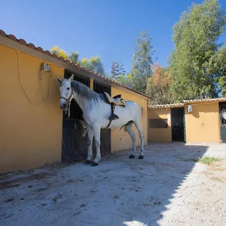 4 Bungalows-cortijo Da Luigi-4 Adultos-2 Dormitorios-piscina-ideal Familias-cartama-malaga * Cártama