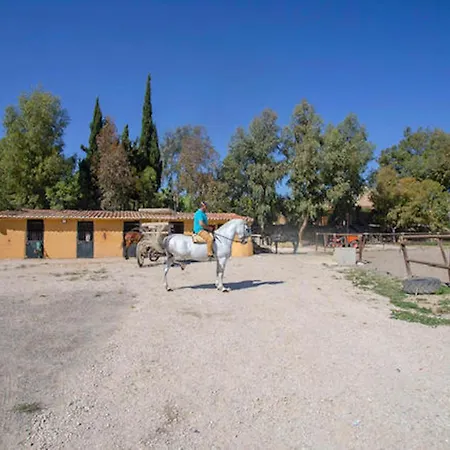 Casa rural 4 Bungalows-cortijo Da Luigi-4 Adultos-2 Dormitorios-piscina-ideal Familias-cartama-malaga *