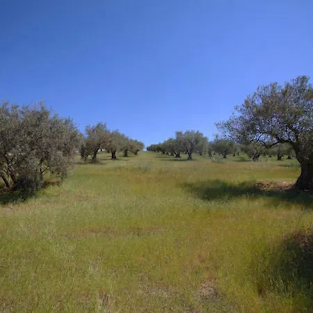 4 Bungalows-cortijo Da Luigi-4 Adultos-2 Dormitorios-piscina-ideal Familias-cartama-malaga Casa rural Cártama